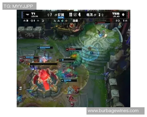 英雄联盟热点：解读TES的盯防