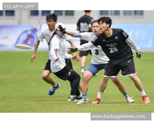 2026飞盘力量排行榜：南京飞盘队位居第6名