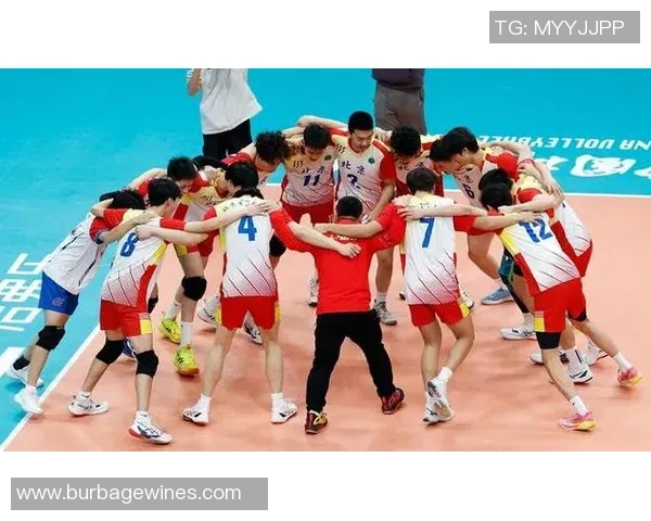 排球热议：北京排球队的团队协作争议