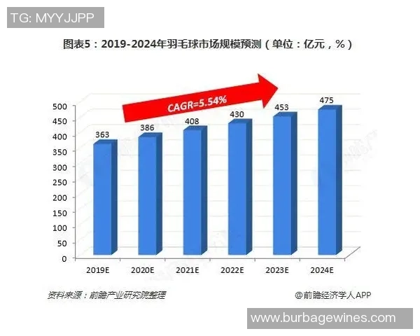 数据分析：西安羽毛球队的力量表现
