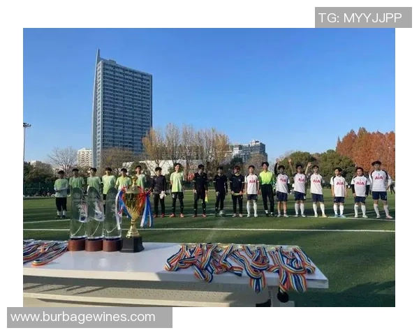 热议足球：杭州足球队的比赛经验变革