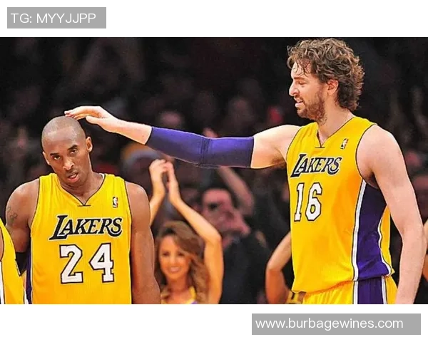 篮球深度：解密南京篮球队的节奏